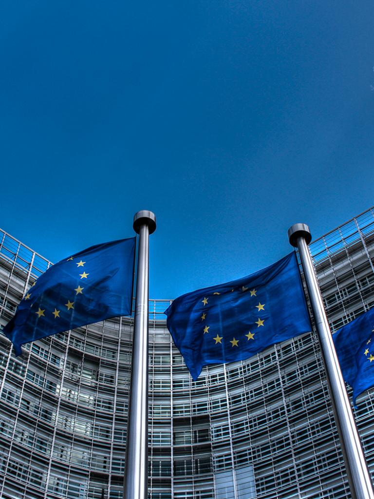 European flags (photo: European Commission)