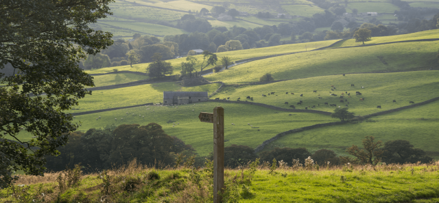 Footpath in England